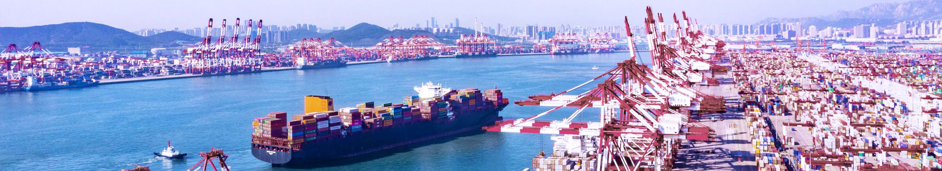 3噸液壓搬運車多少錢_行業(yè)新聞_新聞動態(tài)_起重鉗,鋼板起重鉗,吊裝鉗,鋼板鉗,起重吊裝鉗-辰力集團有限公司